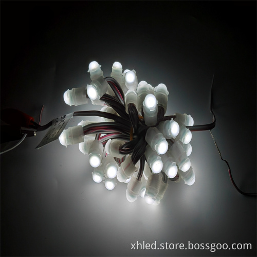 Factory Direct DC12V 9mm IP67 Waterproof LED Pixel Lights for Signboards and Christmas Tree Lighting
